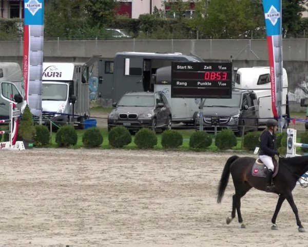 Reitturnier Basel 2024