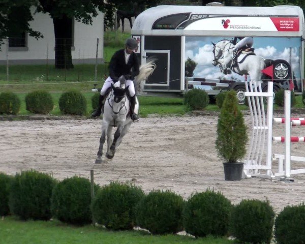 Reitturnier Basel 2024