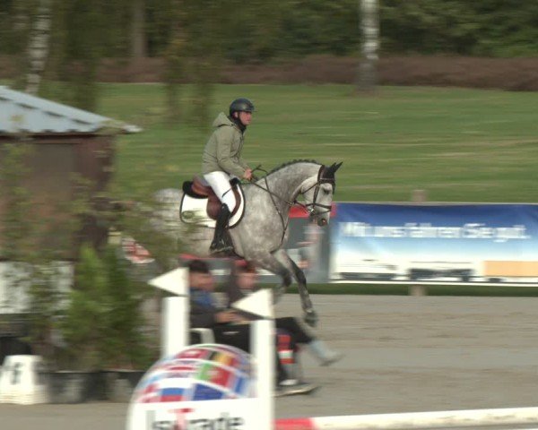 Reitturnier Westergellersen 2024