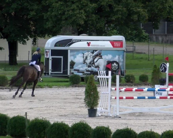 Reitturnier Basel 2024