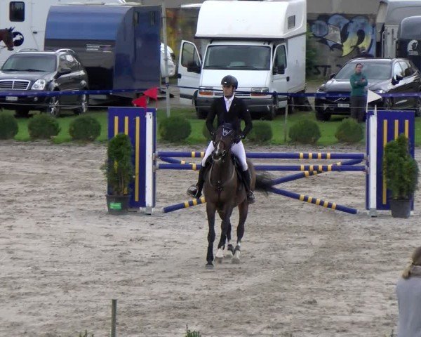 Reitturnier Basel 2024