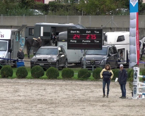Reitturnier Basel 2024