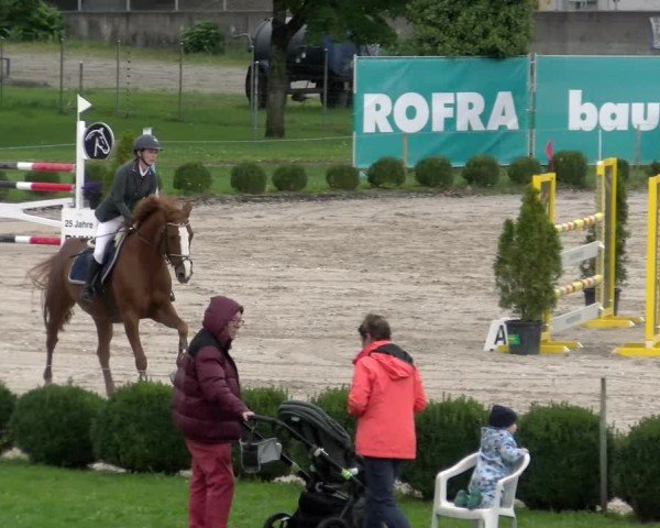 Reitturnier Basel 2024