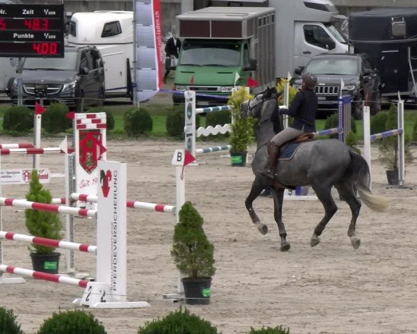 Reitturnier Basel 2024