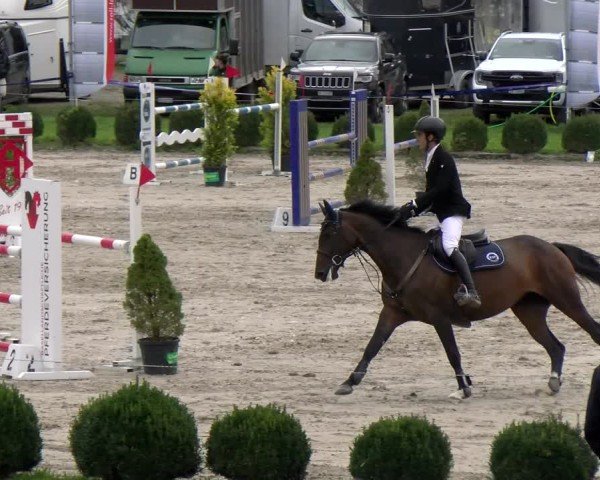Reitturnier Basel 2024