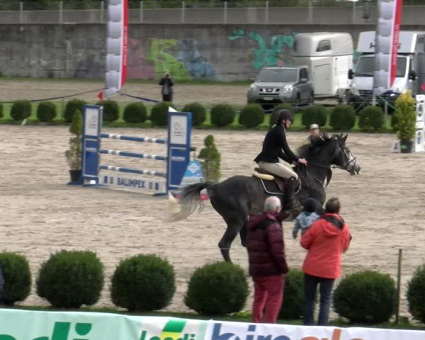 Reitturnier Basel 2024