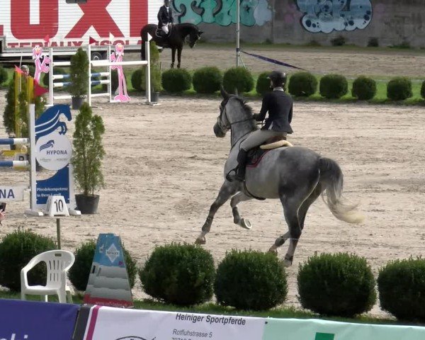 Reitturnier Basel 2024