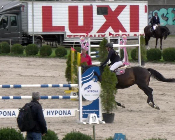 Reitturnier Basel 2024