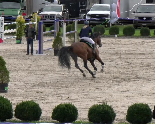 Reitturnier Basel 2024