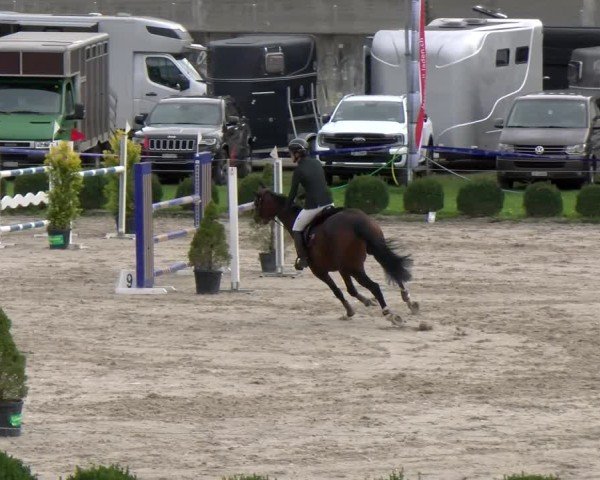 Reitturnier Basel 2024
