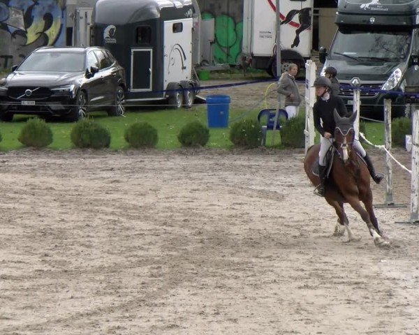 Reitturnier Basel 2024