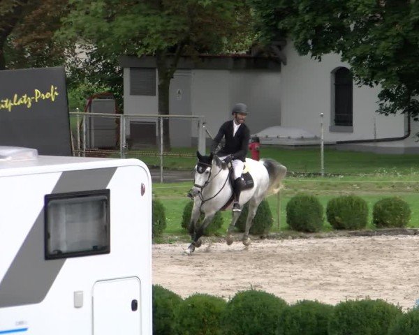Reitturnier Basel 2024