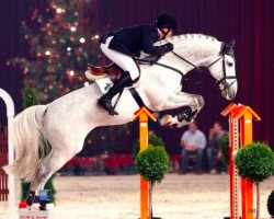 stallion Campbell VDL (Holsteiner, 2004, from Cassini I)