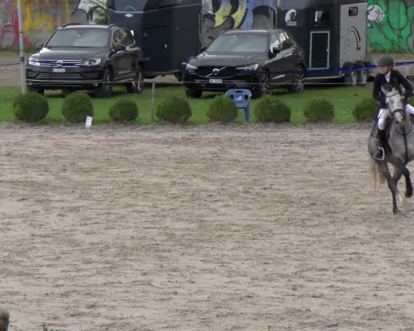 Reitturnier Basel 2024