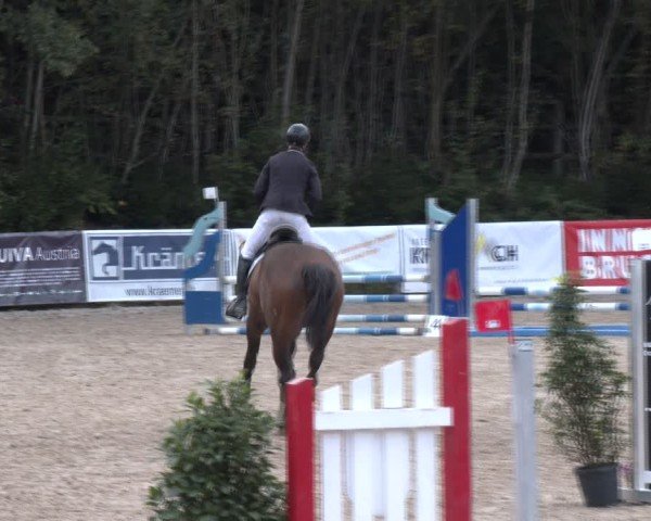 Reitturnier Igls 2024