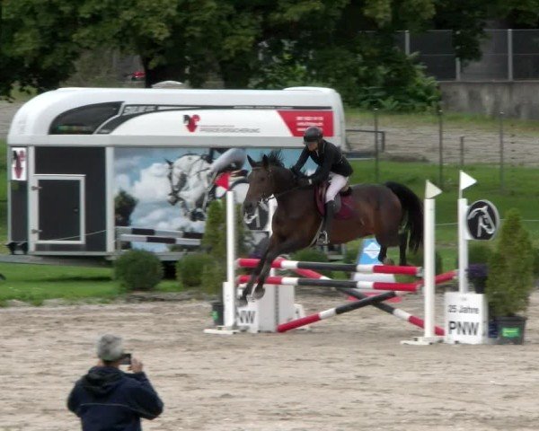 Reitturnier Basel 2024