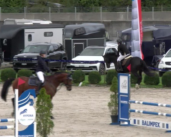 Reitturnier Basel 2024