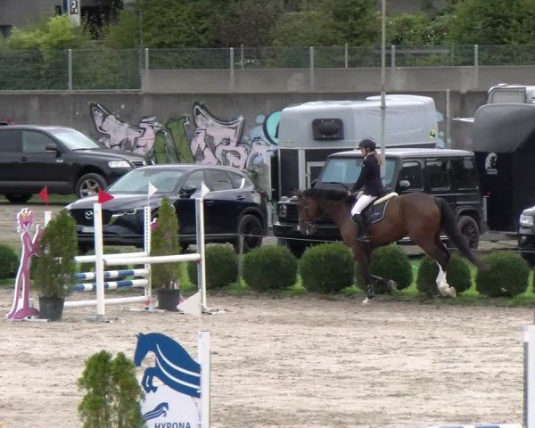 Reitturnier Basel 2024