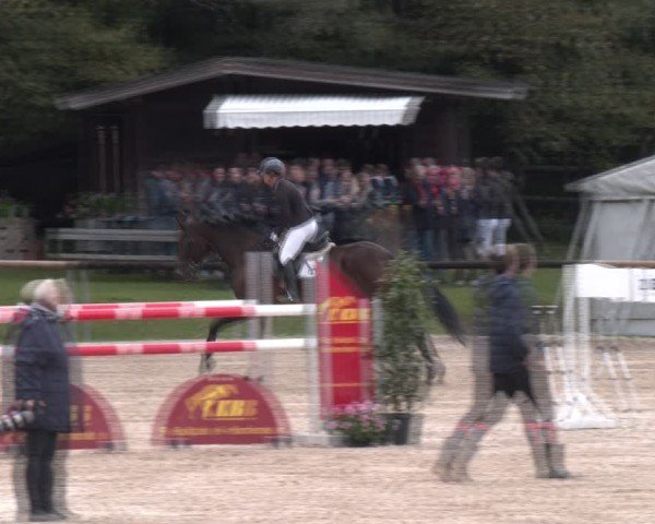 Reitturnier Igls 2024