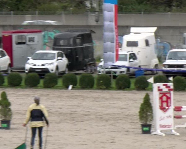 Reitturnier Basel 2024