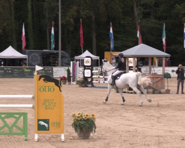 Reitturnier Ranshofen - Braunau am Inn 2024
