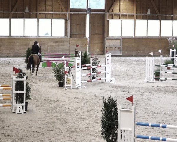 Reitturnier Rüti 2021