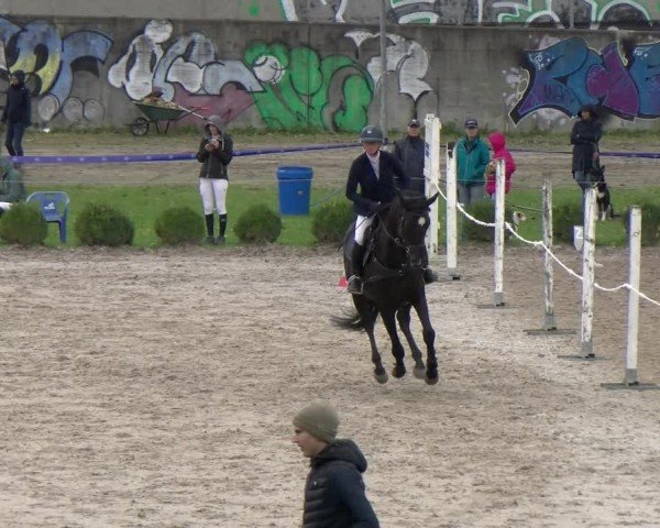 Reitturnier Basel 2024