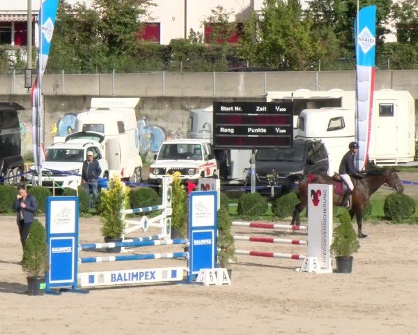 Reitturnier Basel 2024