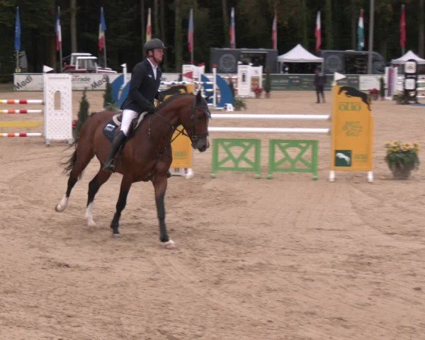 Reitturnier Ranshofen - Braunau am Inn 2024