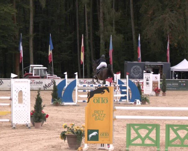 Reitturnier Ranshofen - Braunau am Inn 2024