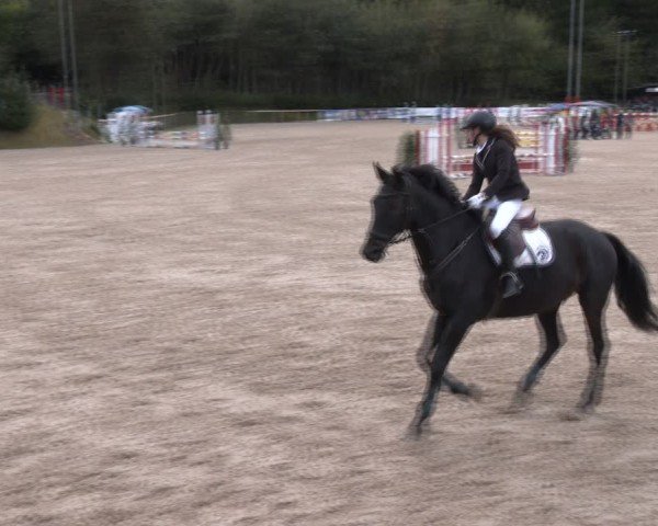 Reitturnier Igls 2024