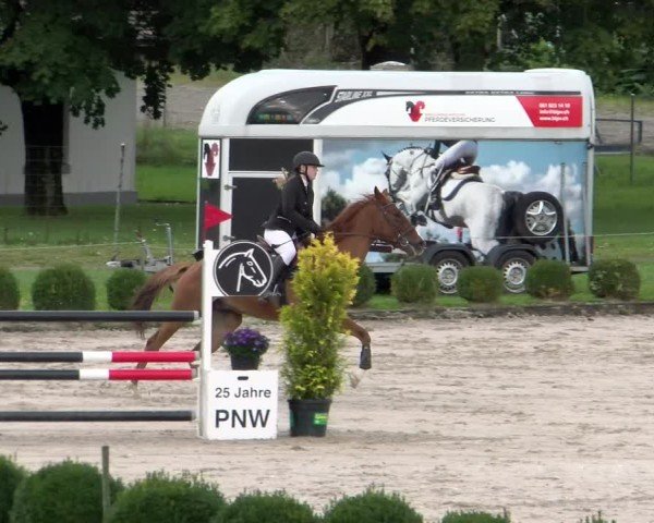Reitturnier Basel 2024