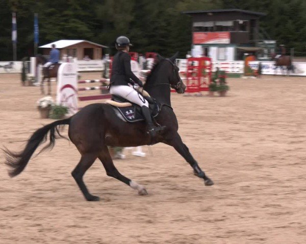 Reitturnier Ranshofen - Braunau am Inn 2024