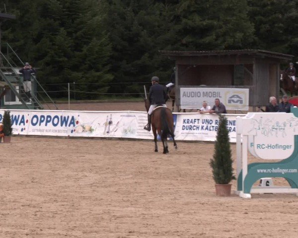 Reitturnier Ranshofen - Braunau am Inn 2024
