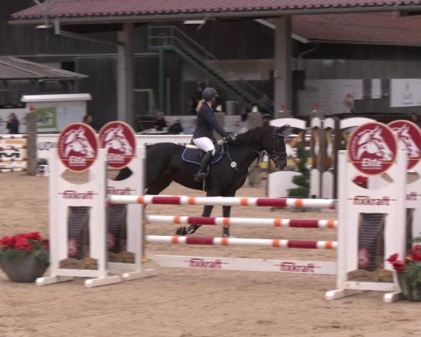 Reitturnier Ranshofen - Braunau am Inn 2024