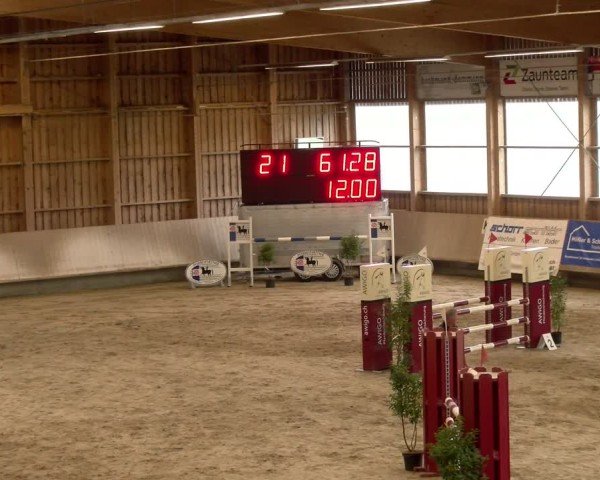Reitturnier Winterthur 2024