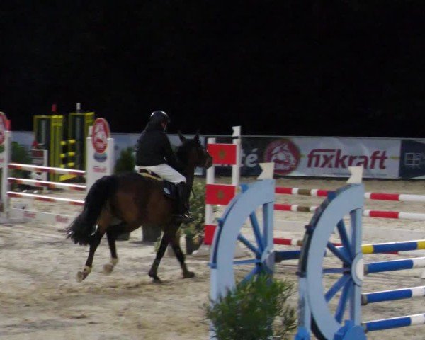 Reitturnier Karlsfeld/Obb. 2024