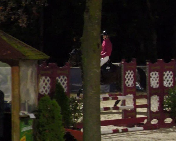 Reitturnier Karlsfeld/Obb. 2024