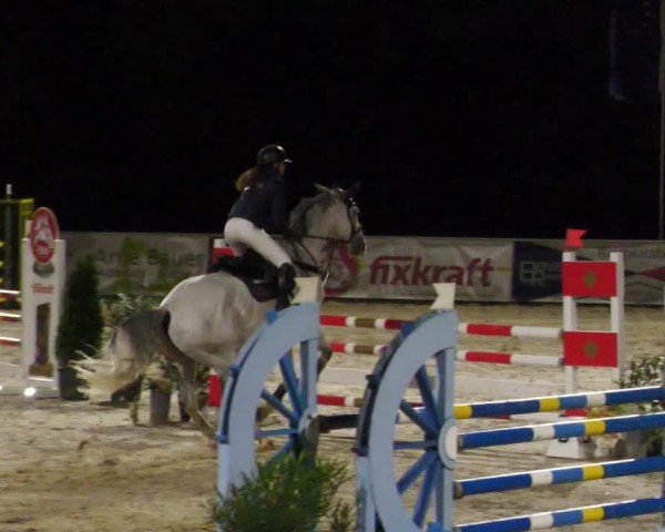 Reitturnier Karlsfeld/Obb. 2024