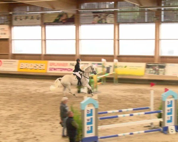 Reitturnier Winterthur 2024