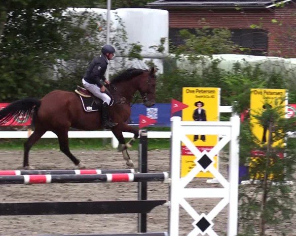 Reitturnier Mildstedt - Jumping Team Nord - 2024