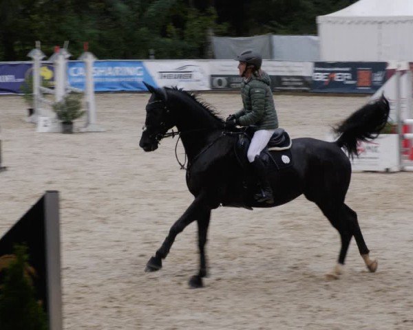 Reitturnier Karlsfeld/Obb. 2024