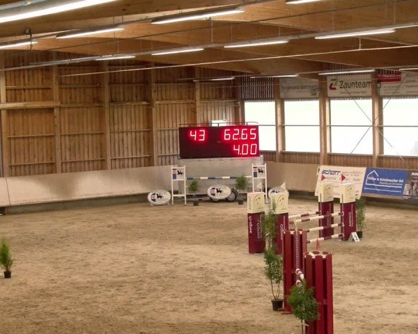 Reitturnier Winterthur 2024