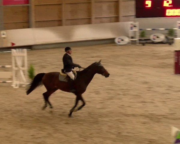 Reitturnier Winterthur 2024
