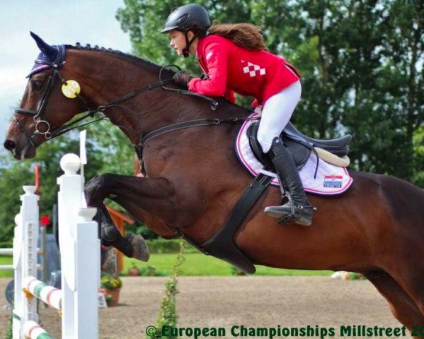 jumper Layos 6 (Westphalian, 2007, from Landstreicher)