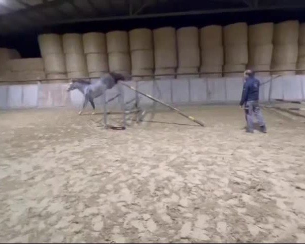 Video of Quabrina B