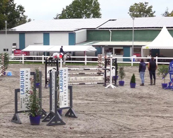 Reitturnier Mildstedt - Jumping Team Nord - 2024