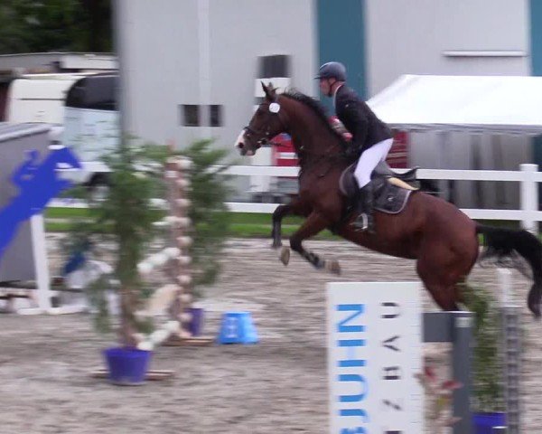 Reitturnier Mildstedt - Jumping Team Nord - 2024