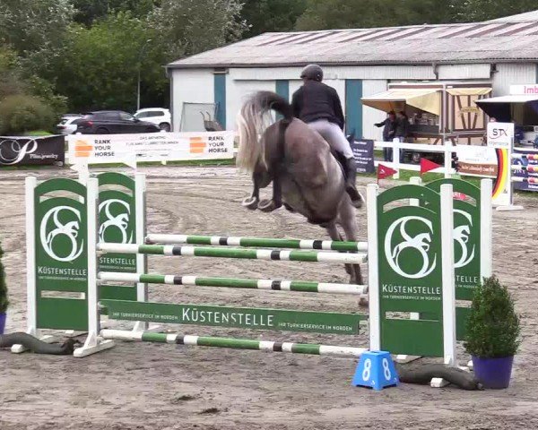 Reitturnier Mildstedt - Jumping Team Nord - 2024