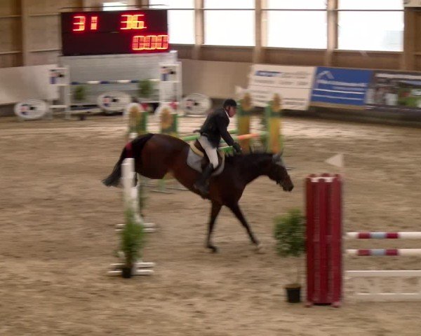 Reitturnier Winterthur 2024